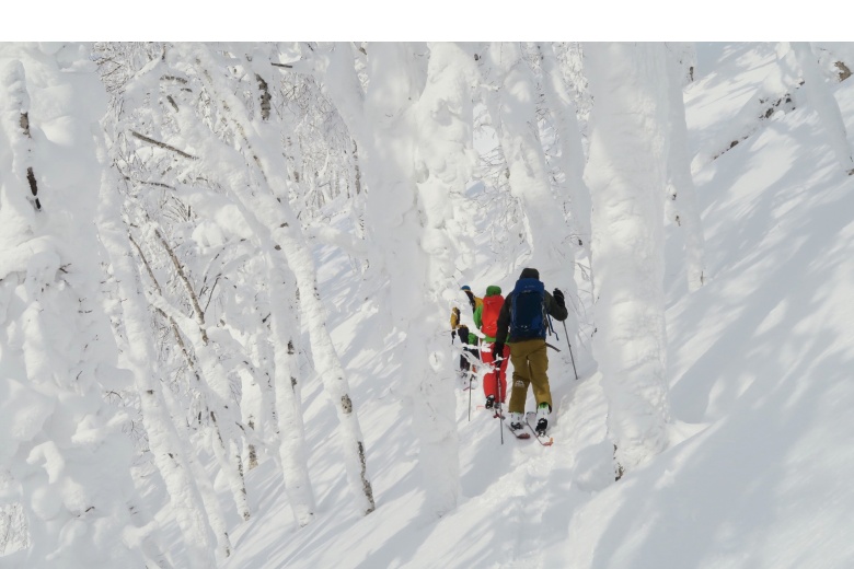 Touring ski in Hokkaido between white trees